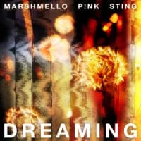 Marshmello, P!nk, Sting