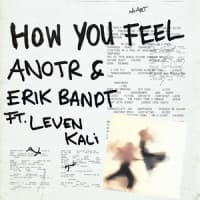 ANOTR, Erik Bandt, Leven Kali